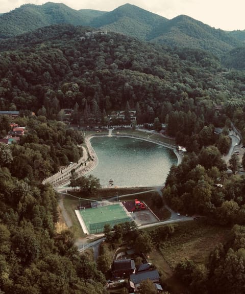 Lake view