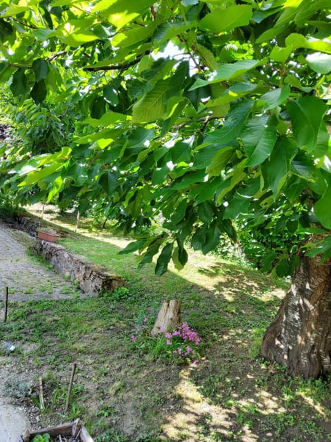 Pretyroom p Vacation rental in Île-de-France