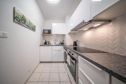 Le Bâle 92A Appartement 6 Pers Parking Privé Apartment in Weil am Rhein