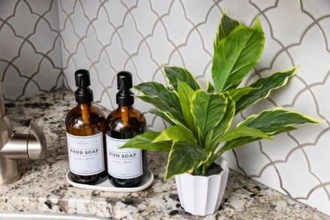 Modern Comfort in the Heart of Little Rock House in Little Rock