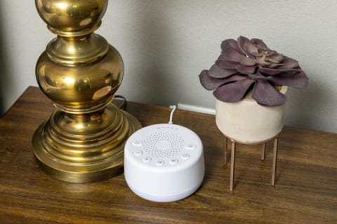 Modern Comfort in the Heart of Little Rock House in Little Rock