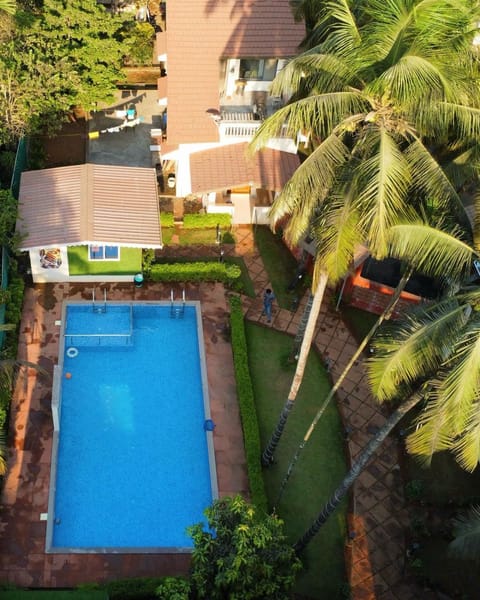 View (from property/room), Pool view, Swimming pool
