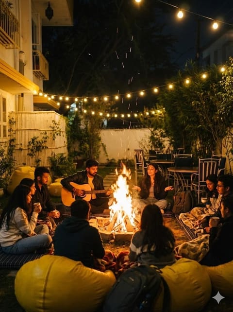 Night, People, Garden, group of guests