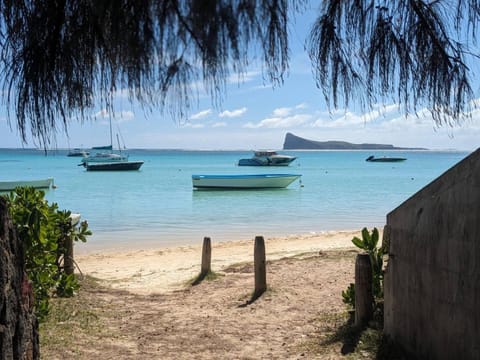 Beach, Beach