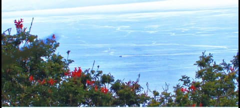 Day, Natural landscape, Sea view