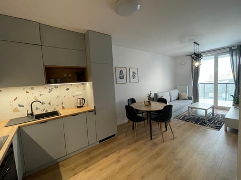 Kitchen or kitchenette, Living room, Seating area, Dining area, stove