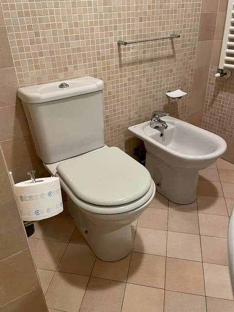 Toilet, Bathroom, bidet