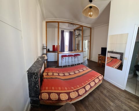 Le Bourblanc Apartment in Orléans