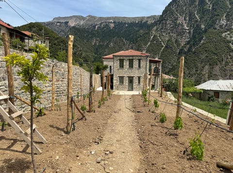 Property building, Day, Natural landscape, Garden, Garden view, Mountain view