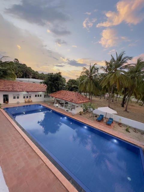 Day, Swimming pool