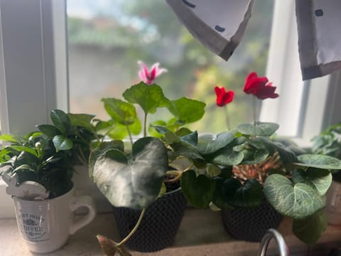 Kuća za odmor Josip Villa in Split