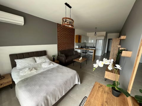 Bed, Kitchen or kitchenette, Photo of the whole room, Bedroom, air conditioner