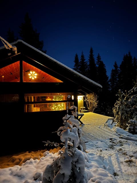 Property building, Night, Winter