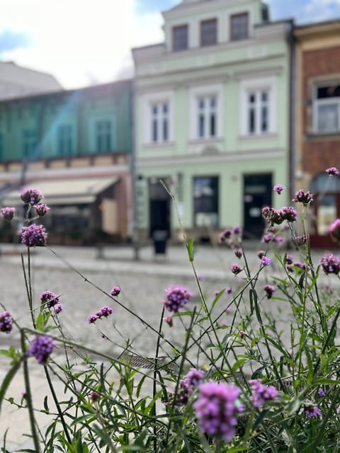 Property building, Spring, Day, Neighbourhood, Street view, Location