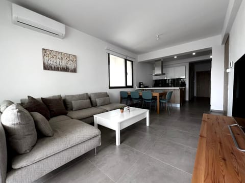 Communal lounge/ TV room, TV and multimedia, Kitchen or kitchenette, Living room, Seating area, Dining area, Evening entertainment, air conditioner