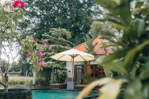 Pool view, Swimming pool, Swimming pool