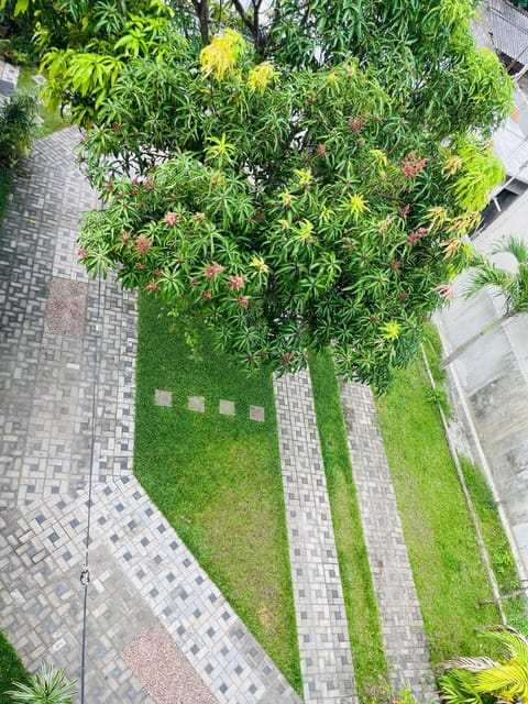 Day, Garden, Garden view