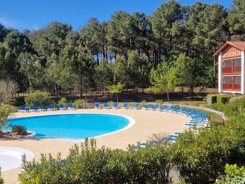 Garden, Pool view, Swimming pool, sunbed