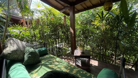 Garden, Balcony/Terrace