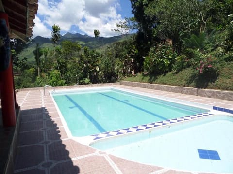 Pool view, Swimming pool