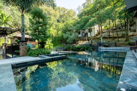 Garden, Pool view, Swimming pool