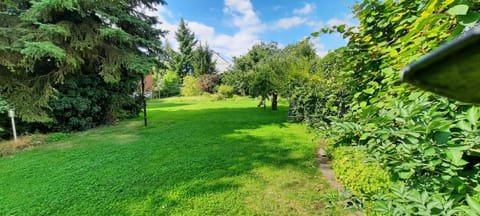 Natural landscape, Garden