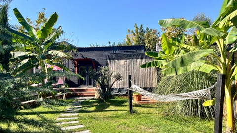 Day, Garden, Garden view
