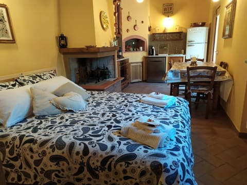 Bed, Kitchen or kitchenette, Photo of the whole room, Bedroom, minibar, oven