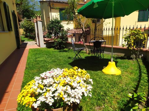 Spring, Garden, Garden view