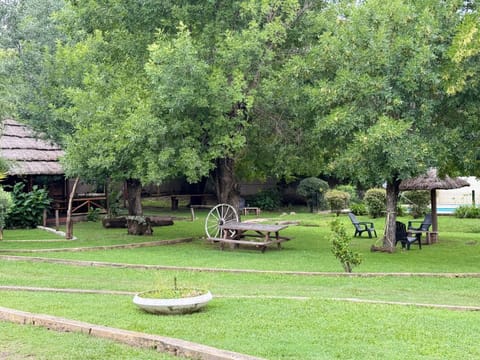 Natural landscape, Garden, Garden view