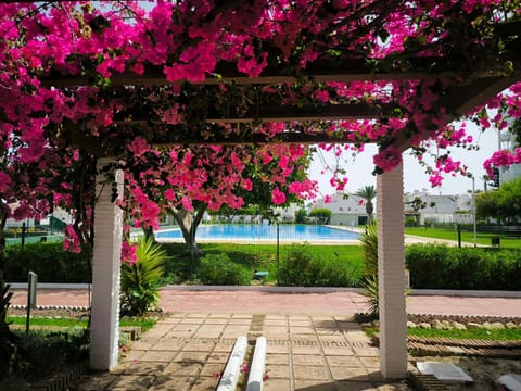 Garden, Swimming pool