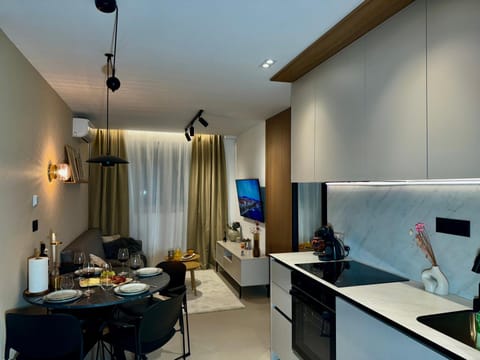 Kitchen or kitchenette, Dining area, oven, stove