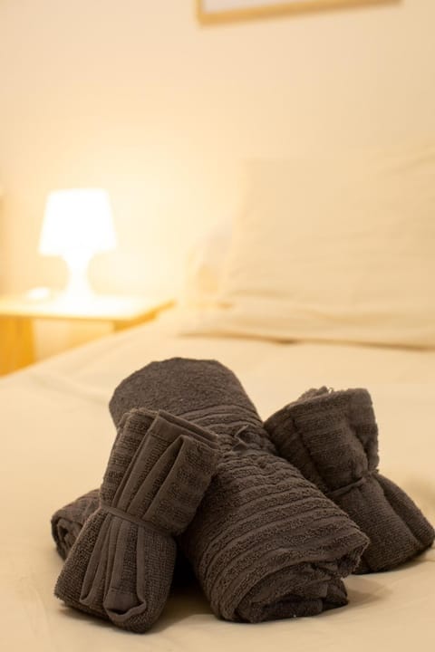 Le Cocon Urbain-Hyper centre Apartment in Saint-Étienne