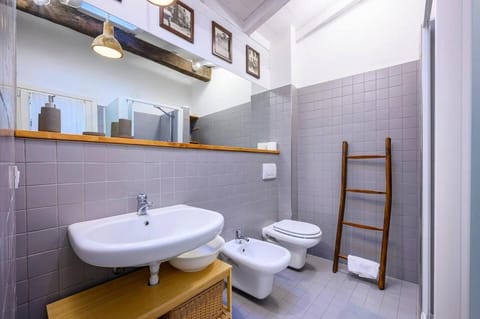 Shower, Toilet, Bathroom, bidet