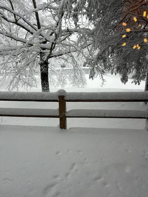 Waterfront Mountain Fun-Jack Frost Walk On Whole House House in Kidder Township