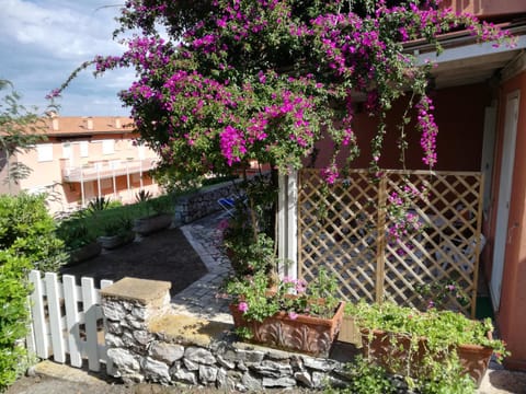 Property building, Garden view