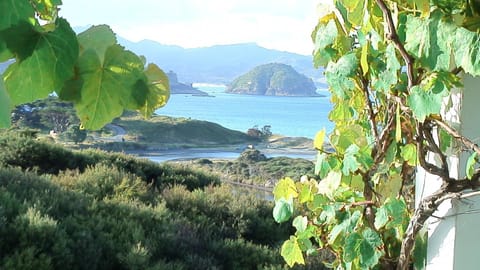 Sea view