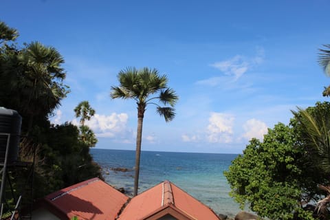 Natural landscape, Sea view