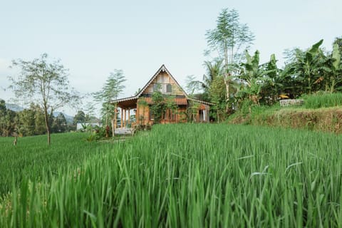 Green vanilla kabin House in Sidemen