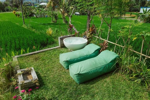 Green vanilla kabin House in Sidemen