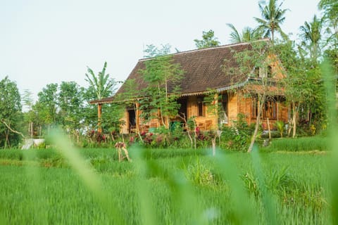 Green vanilla kabin House in Sidemen