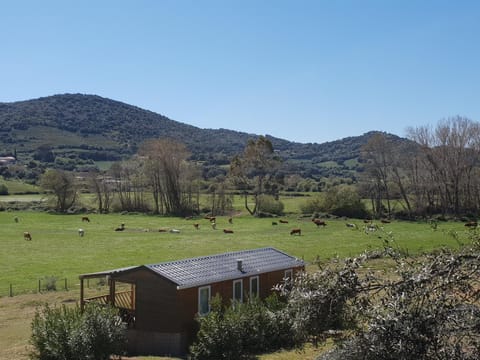 Ferme de Chiuni Farm Stay in Corsica