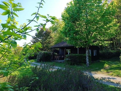 Spring, Natural landscape, Garden