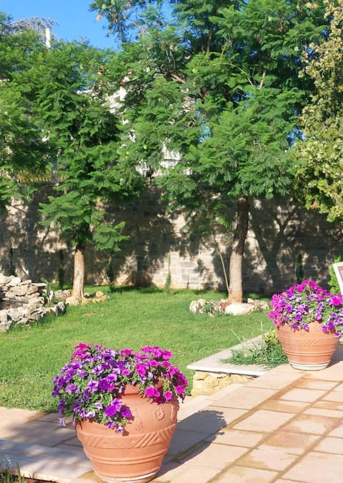 Garden, View (from property/room)