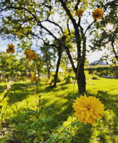 Beautiful traditional villa in central Hanko Villa in Uusimaa