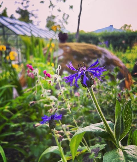 Beautiful traditional villa in central Hanko Villa in Uusimaa