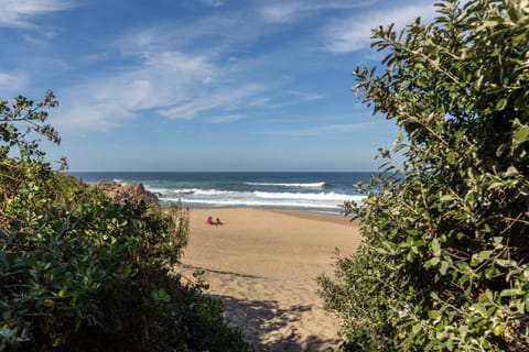 Nearby landmark, Beach, Sea view