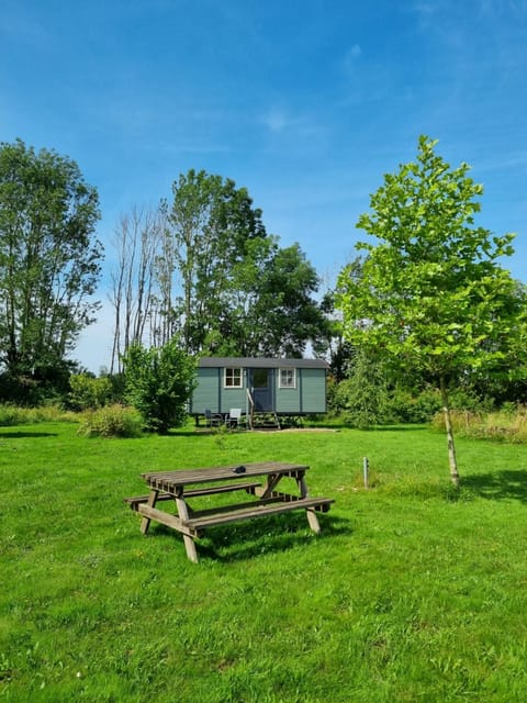 Natural landscape, Garden, Garden view