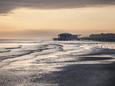 Grande Casa al Mare 140mq Apartment in Senigallia