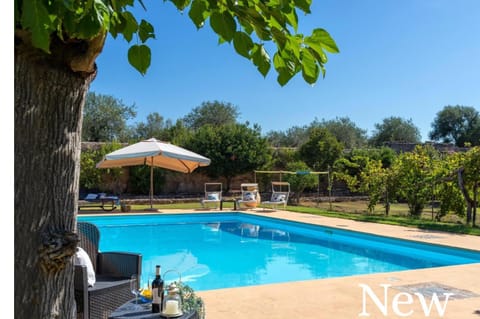 Day, Garden, Pool view, Swimming pool, sunbed